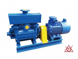 2BE水環(huán)真空泵